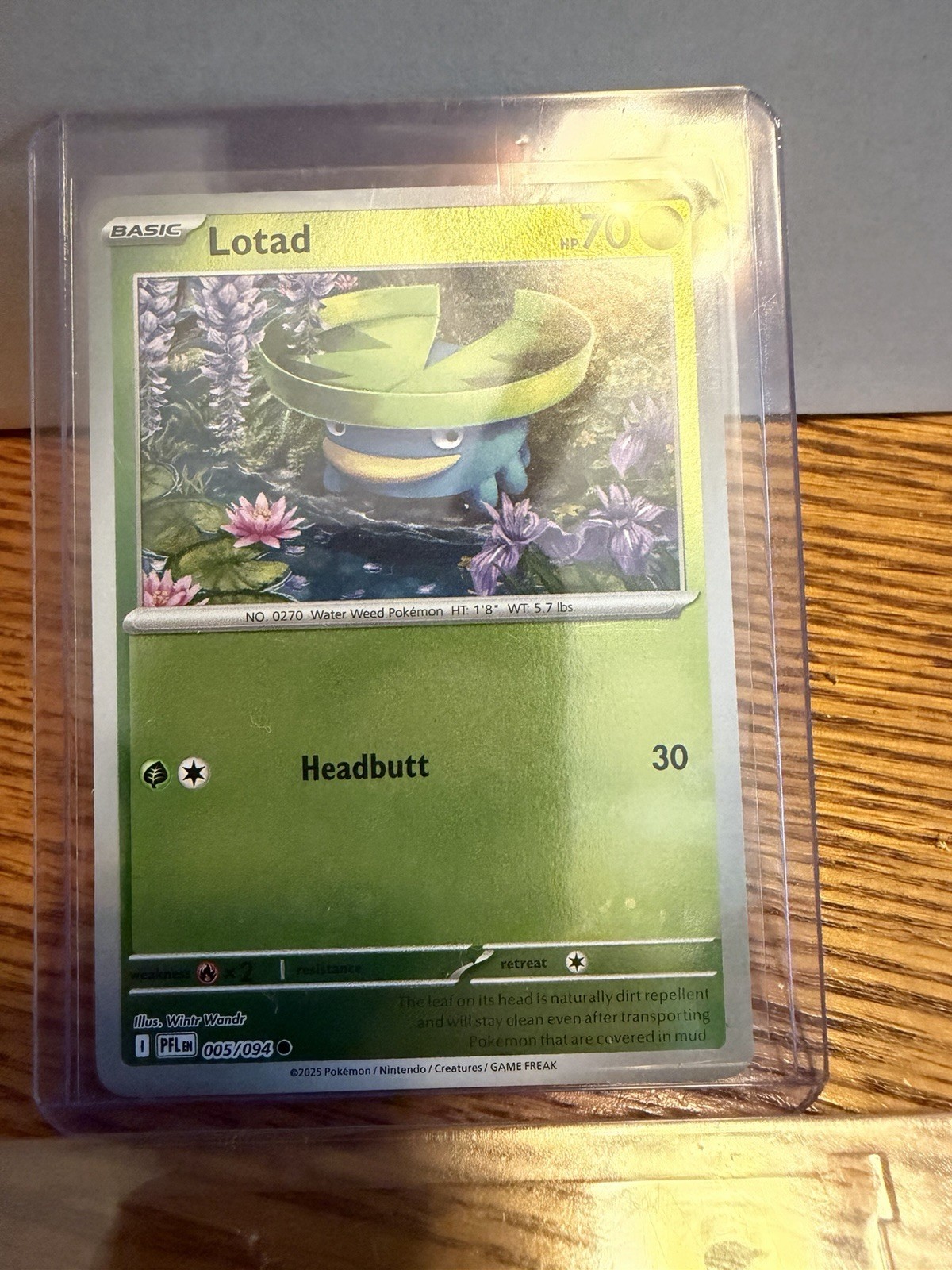 Pokemon TCG Lotad 005/094 Me02 Phantasmal Flames Reverse Holo Common Basic 70 HP